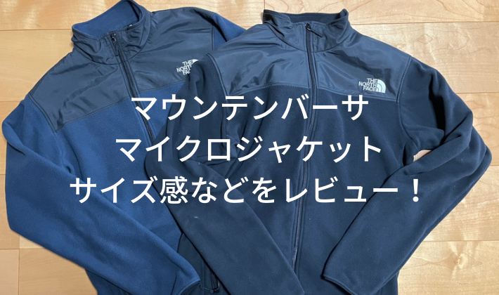 THE NORTH FACE マウンテンバーサマイクロジャケット L ロゴ